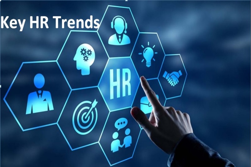 Exploring HR Software Trends 2024